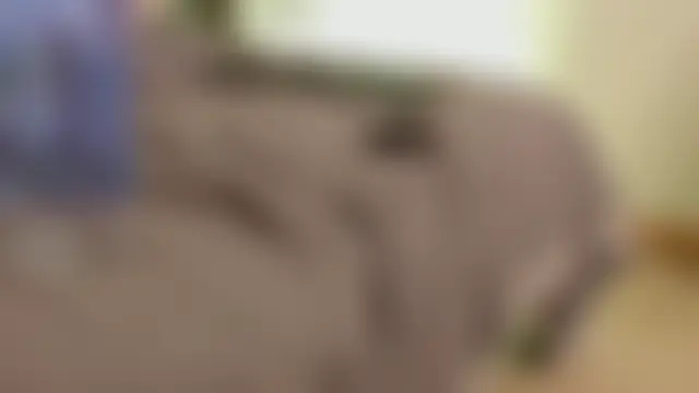 evazulのライブチャットルーム