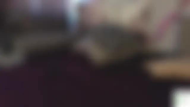 Chat XXX en directo de DextralCoffee