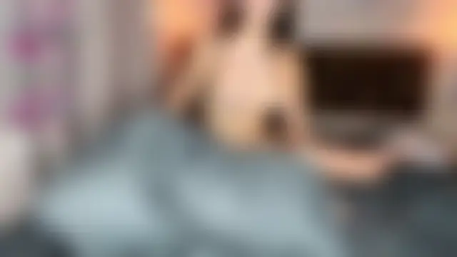 LoraDavi 실시간 채팅방