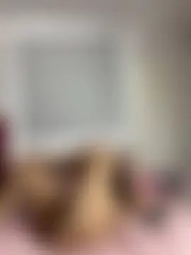 Velma_star 실시간 채팅방