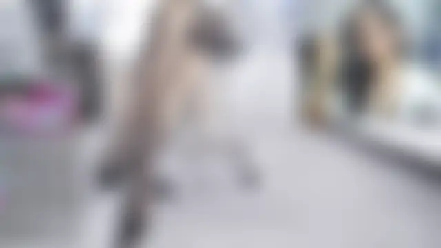 Saffron_10 웹캠 쇼