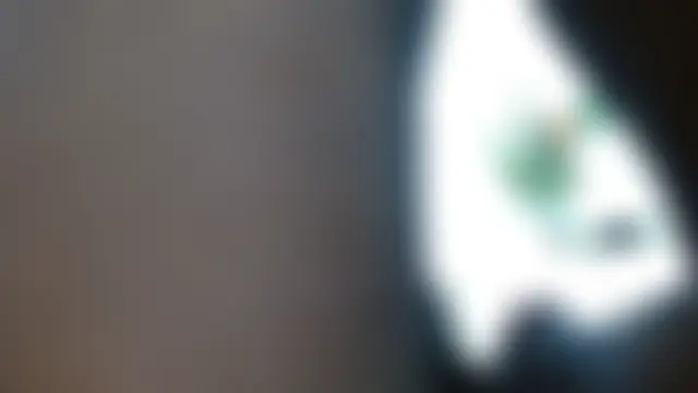 sophia_hadid: απευθείας συνομιλία ΧΧΧ