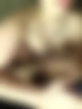 แชท XXX สดของ Faidraishere