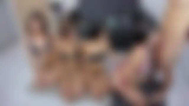 little_dolls11のウェブカメラショー