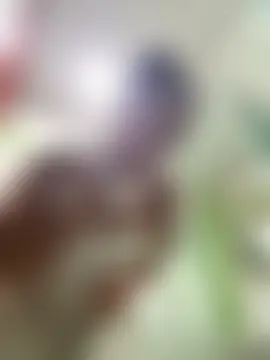 Hannagarces' Live XXX Chat