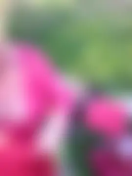 Pertunjukan Kamera Web Hot-Muci