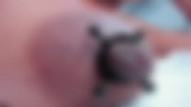 zara_lopez's Live Webcam Chat