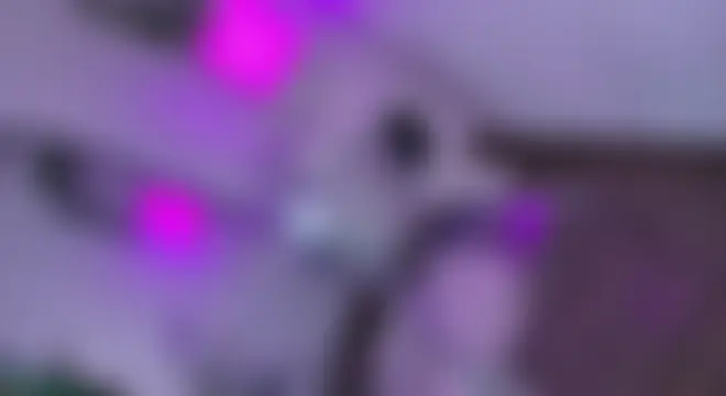 dalilathoms_ 실시간 채팅방