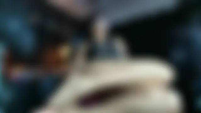 AlexHoe_ élő XXX-chatje