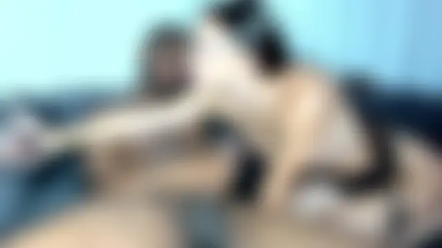 Pokój czatu na żywo – batmancatwoman17