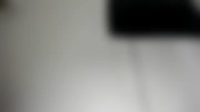 Foxy_Lovex 실시간 채팅방