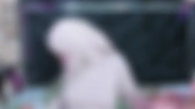 malek_zark2 Webcam-Show