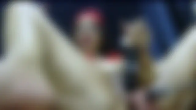 NuttingClone Show in webcam