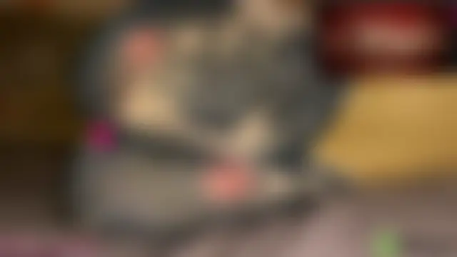 Chat XXX ao vivo de lau_laulu