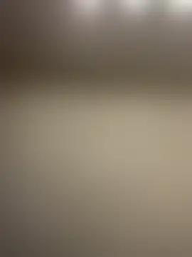 BambiKitty 실시간 채팅방