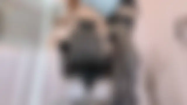 Ledi_Tii লাইভ চ্যাট রুম