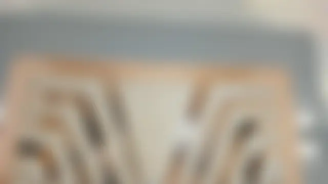 Show webcam de REINA_ADAHARA