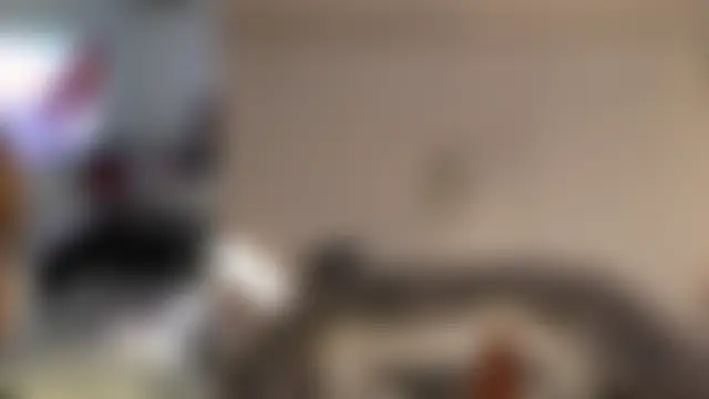 Aurora__XxX 웹캠 쇼