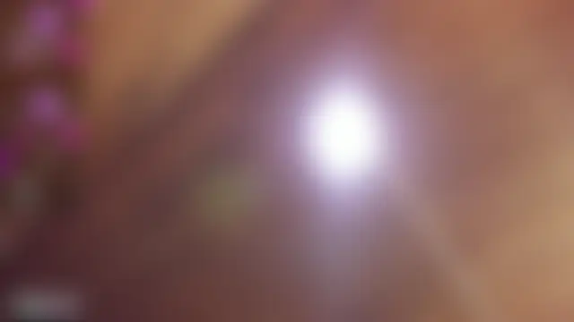 Sala de chat ao vivo de Destiny__Hall