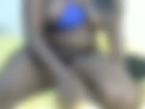 Sweettkendy's Live Chat Room