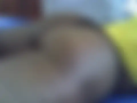 ebonyzoey Live Chatraum