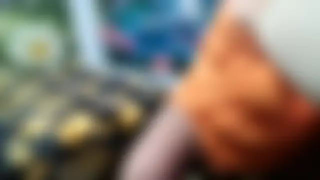 AnnaXGoldX লাইভ XXX চ্যাট