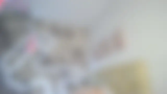 aliicemeow 실시간 채팅방