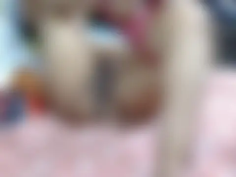 ห้องแชทสดของ Fuckpussylickass