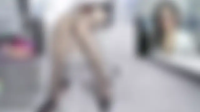 Saffron_10 Chat XXX live