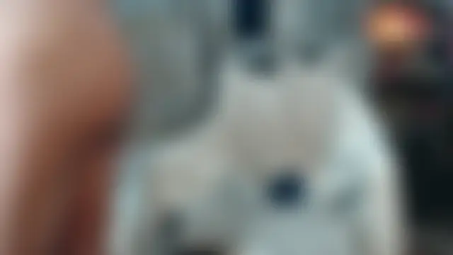 Show webcam de Andreasabrinafox