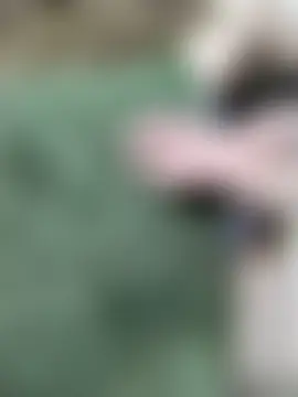 Živá chatovací místnost venu00