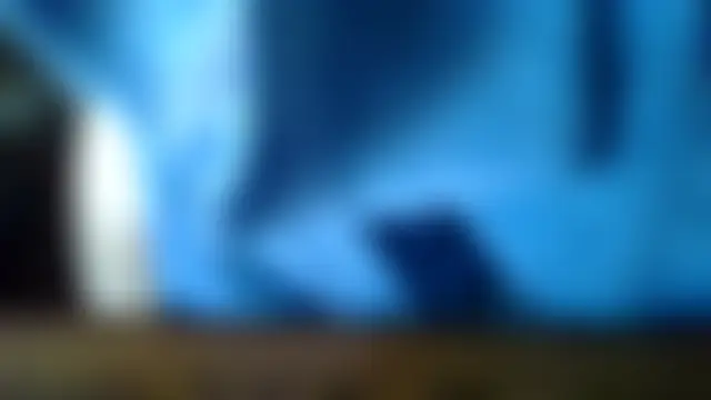 โชว์เว็บแคมของ KiPumpdoggo