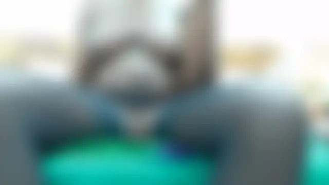 pinkycatのライブチャットルーム