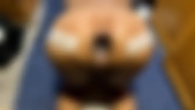 โชว์เว็บแคมของ SharkedTaxis