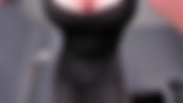 SunnyRivers – Live XXX-chat