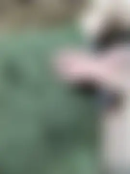 Bilik Sembang Langsung venu00