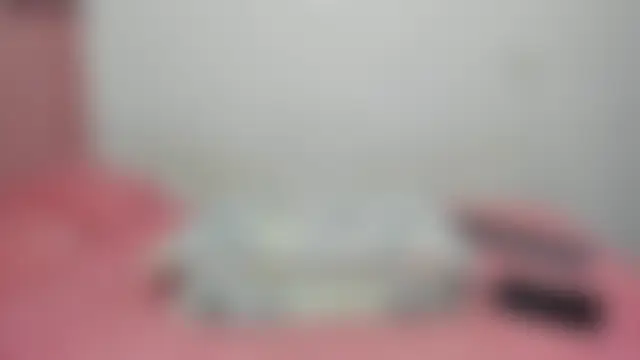 solpeich 即時 XXX 聊天