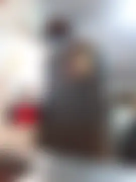 Sophie-hatter live-chat rom