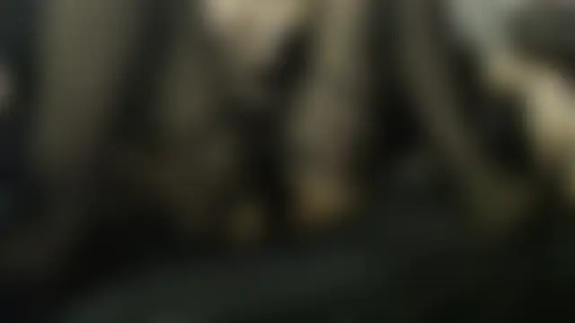 SihirliSofiya Adlı Modelin Canlı XXX Sohbeti