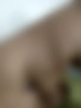 Candyfina Live Chatrum