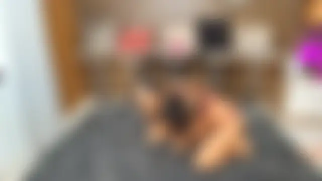 canelasquirt webkamerás műsora