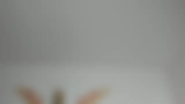 Natalye_23: δωμάτιο απευθείας συνομιλίας