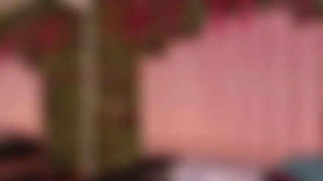 Phòng Chat Trực Tiếp MiaJanss