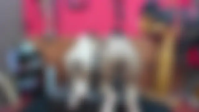 Phòng Chat Trực Tiếp BDSM_NolimitsSexHard