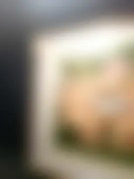 MountJohnXL 网络视讯表演