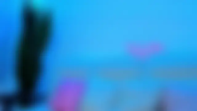 JessicaSky_ Obrolan Langsung XXX