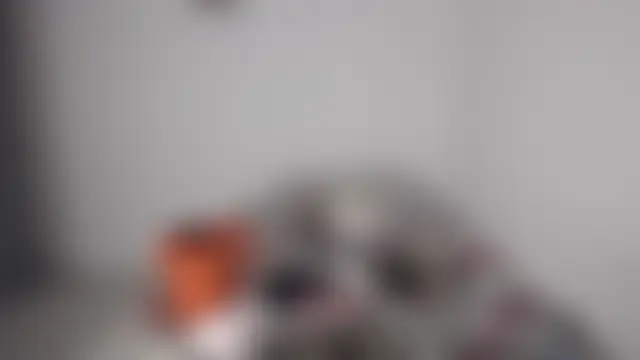 barbara_anal_squirt_ লাইভ XXX চ্যাট