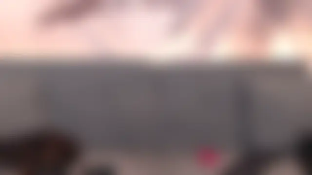 sofiasteven লাইভ XXX চ্যাট