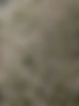 Вебкам-шоу joel852