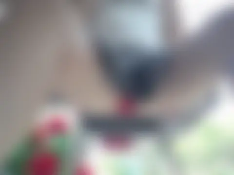 Show de webcam de Amos_Eva